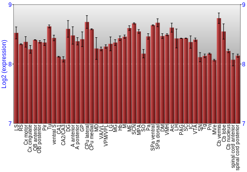 Multi-state expression graph