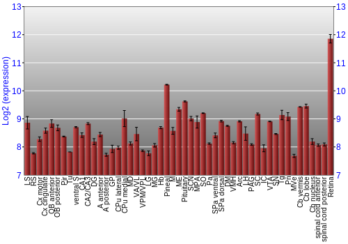 Expression graph