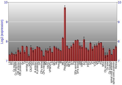 Expression graph