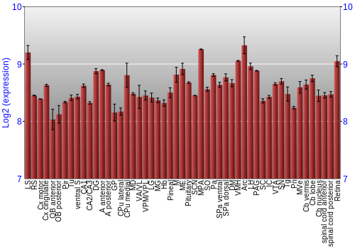 Expression graph
