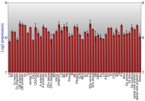 Expression graph