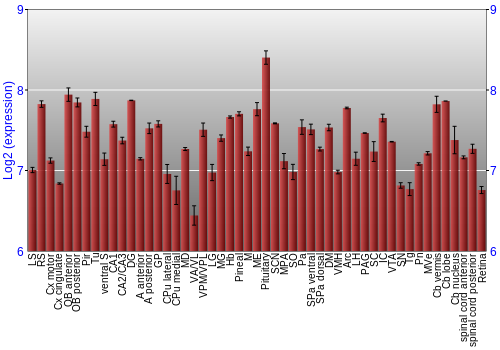 Expression graph