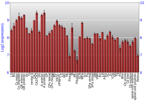 Expression graph