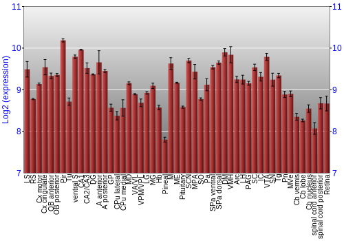 Expression graph