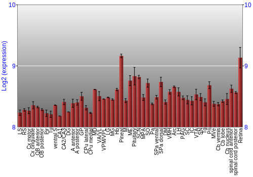 Expression graph