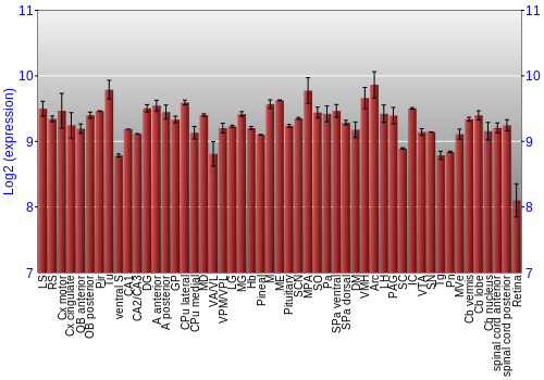 Expression graph