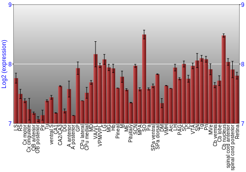 Expression graph