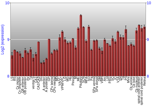 Expression graph
