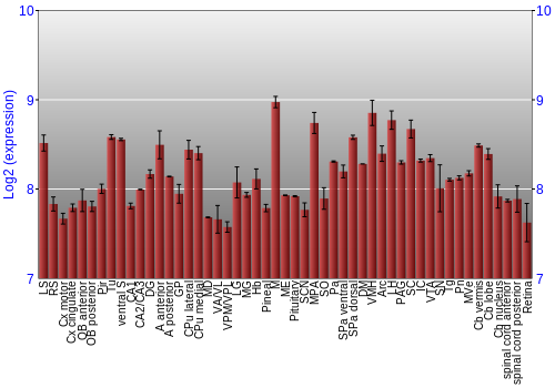 Expression graph