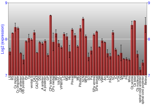 Expression graph