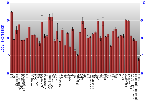 Expression graph