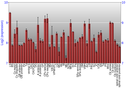 Multi-state expression graph