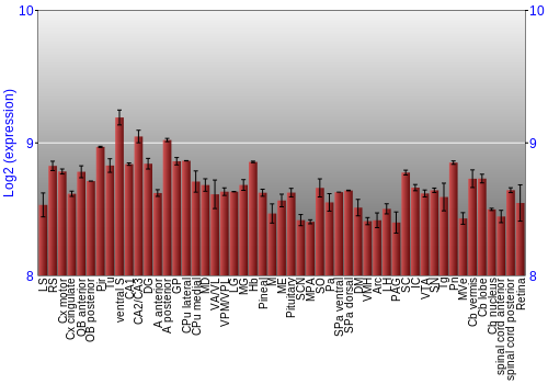 Expression graph