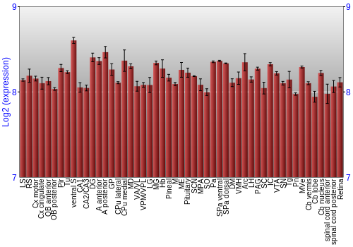 Expression graph