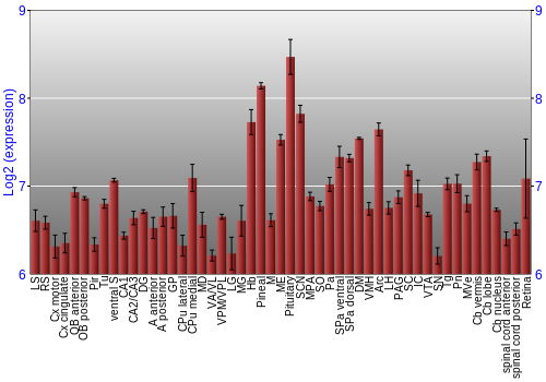Expression graph