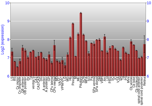 Expression graph