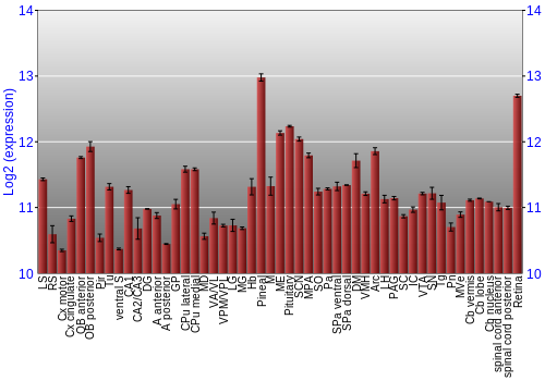 Expression graph