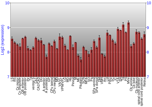Expression graph