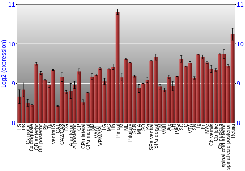 Expression graph