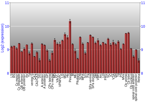 Expression graph