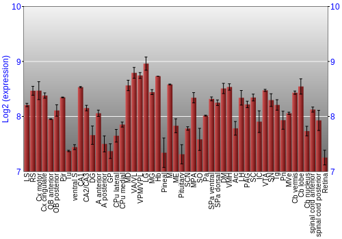 Expression graph