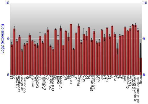 Expression graph