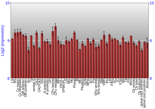 Expression graph