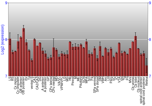 Expression graph