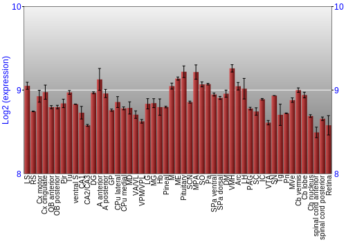 Expression graph