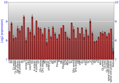 Expression graph