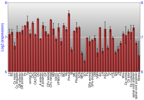 Expression graph