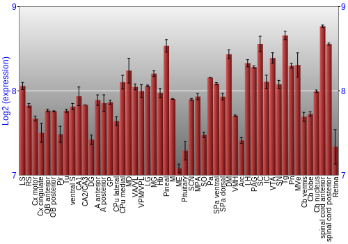 Expression graph