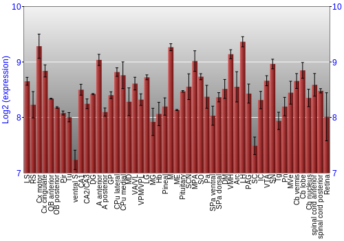 Expression graph