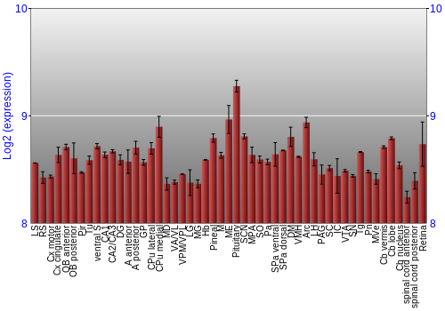 Expression graph