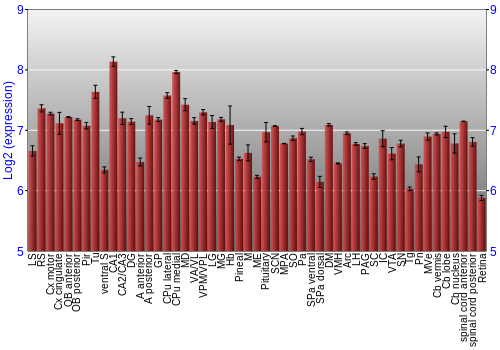 Expression graph
