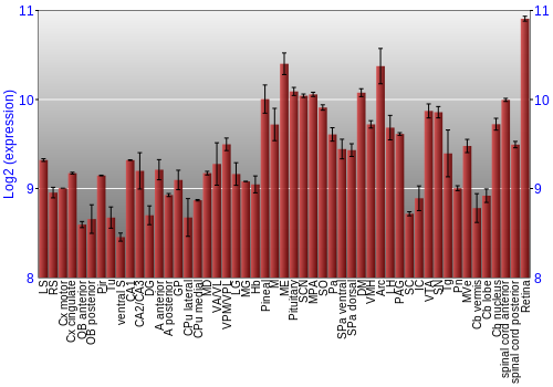 Expression graph