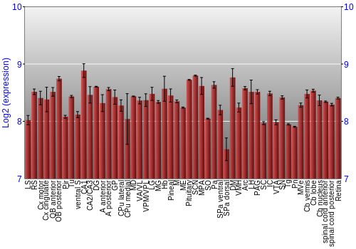 Expression graph