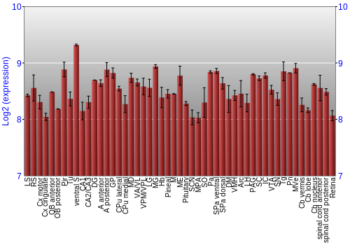 Expression graph