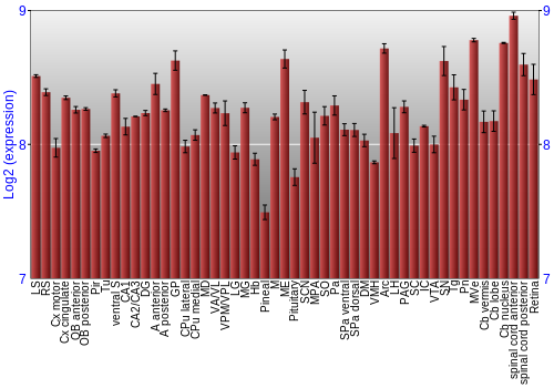 Expression graph