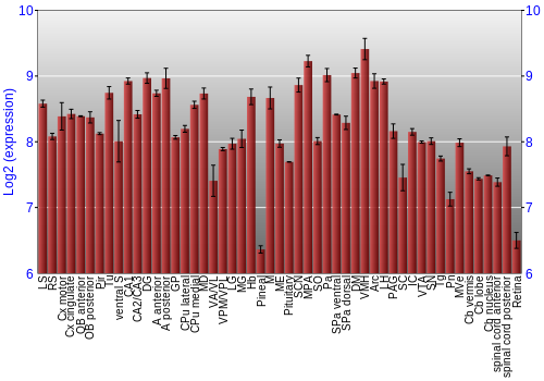 Expression graph