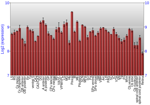 Expression graph
