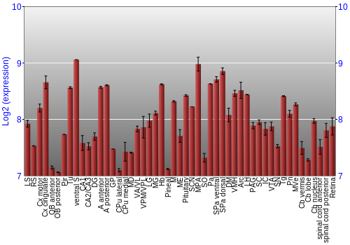 Expression graph