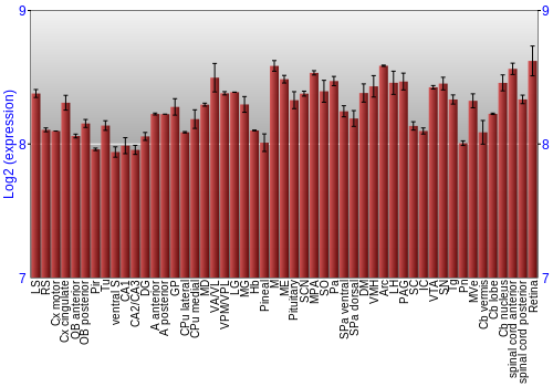 Expression graph