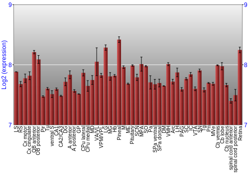 Expression graph