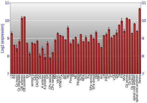 Expression graph