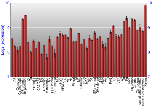 Expression graph