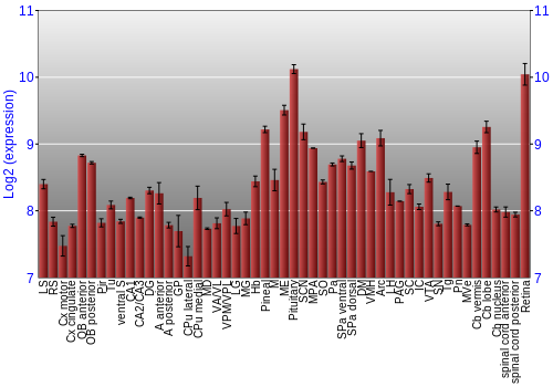 Expression graph