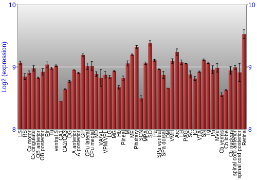 Expression graph