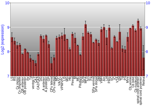 Expression graph