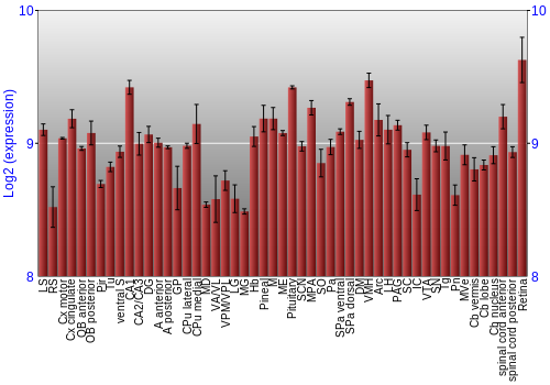 Expression graph